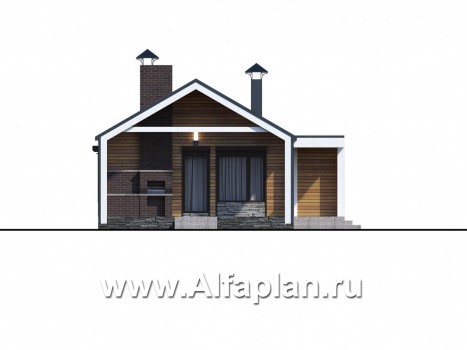 Проекты домов Альфаплан - «Тета» - одноэтажный дом с фальцевыми фасадами и кровлей - превью фасада №1